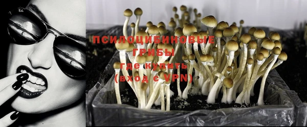 дмт Алзамай